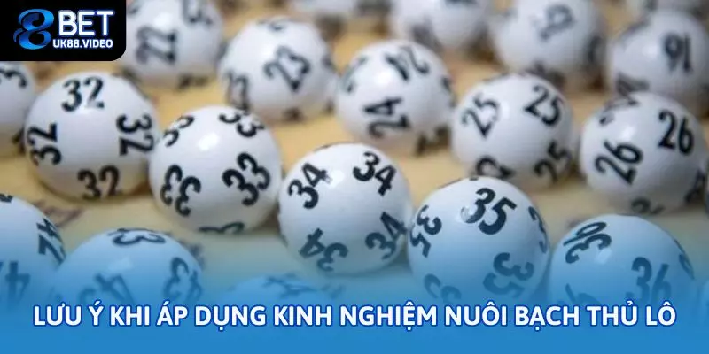 Kinh nghiệm nuôi bạch thủ lô chuẩn, hiệu quả tại 88bet 3 - Lưu ý khi áp dụng kinh nghiệm nuôi bạch thủ lô